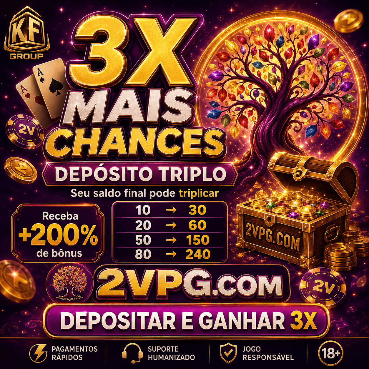 Foto da plataforma 2vpg (4)