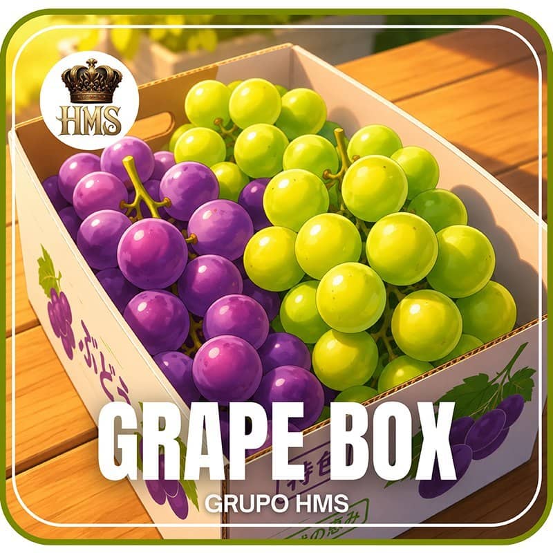 Foto da plataforma Hms Grapebox (3)