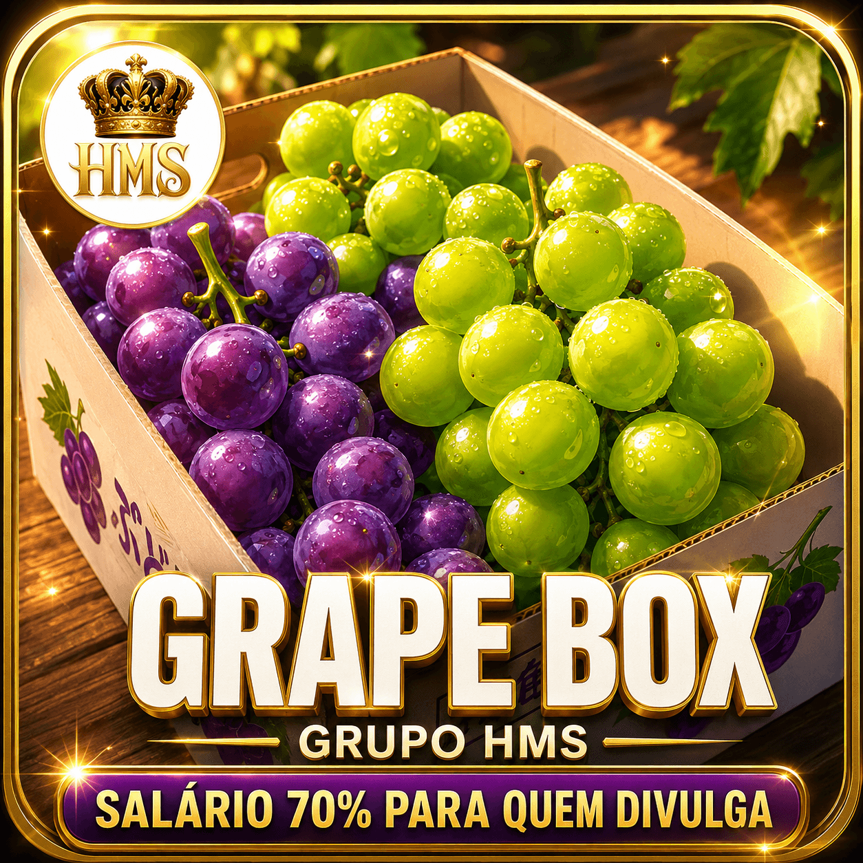 Hms Grapebox