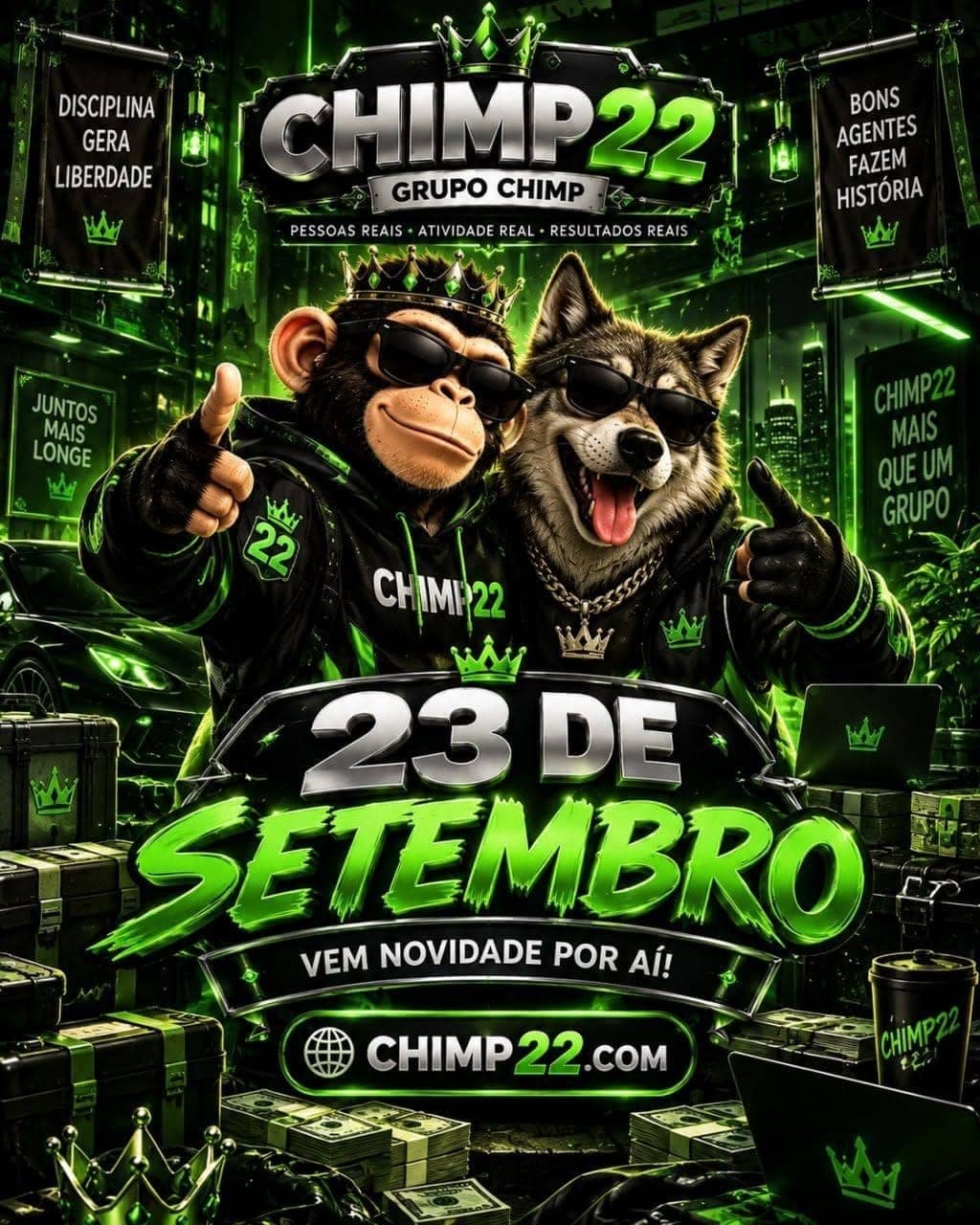 Foto da plataforma Chimp (2)
