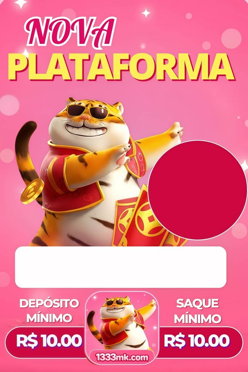 Foto da plataforma 13333mk (1)