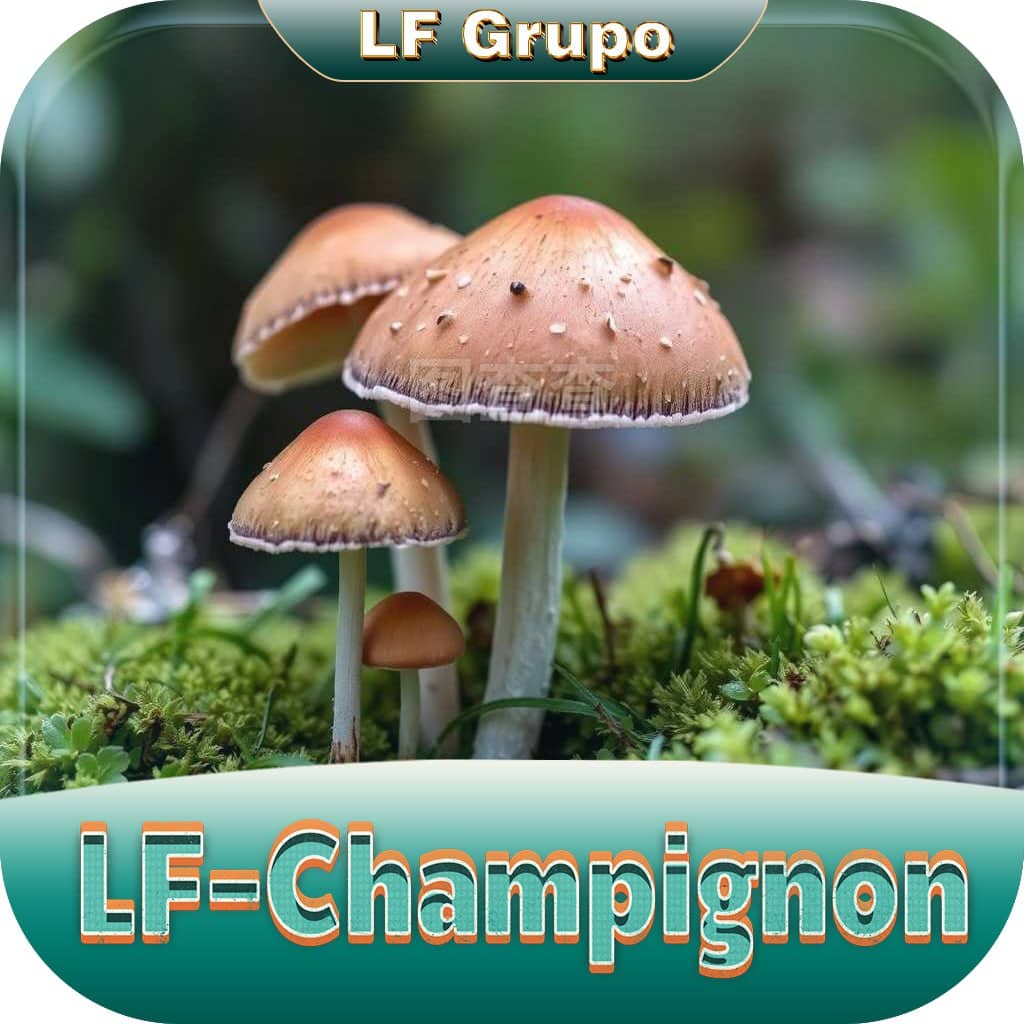 Lf Champignon