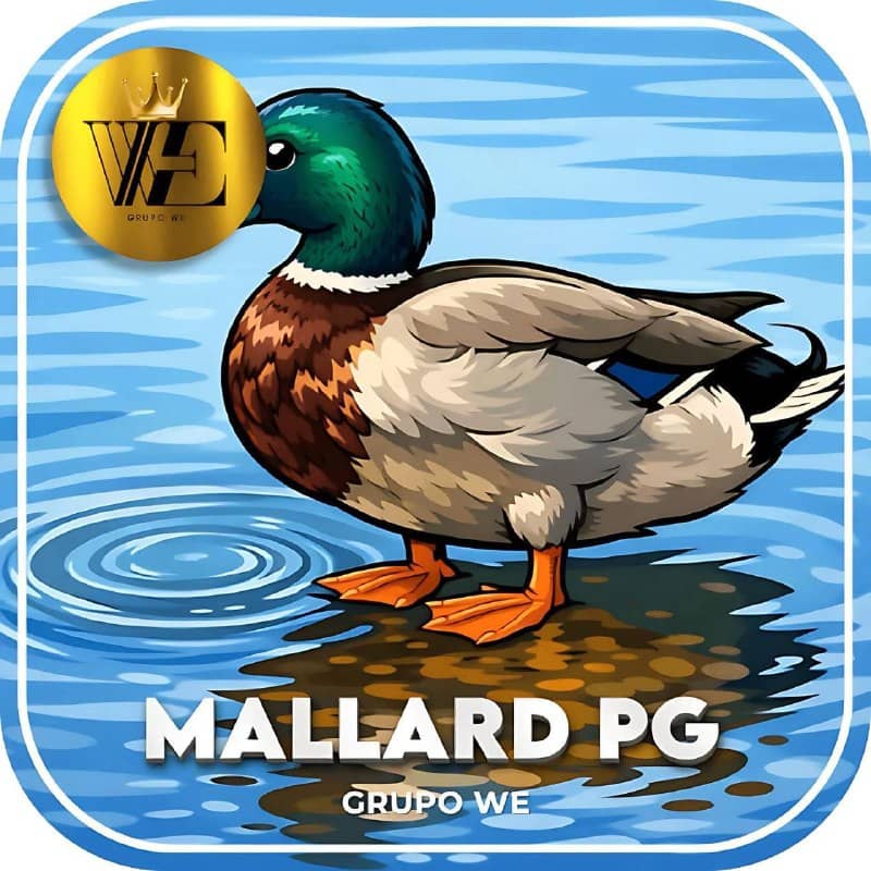 We Mallarddpg