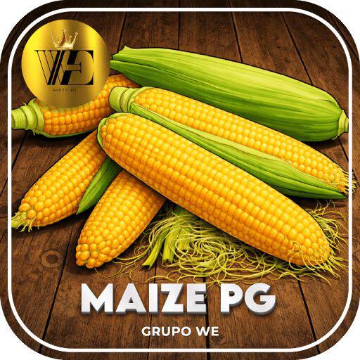 ✨ We Maize Pg