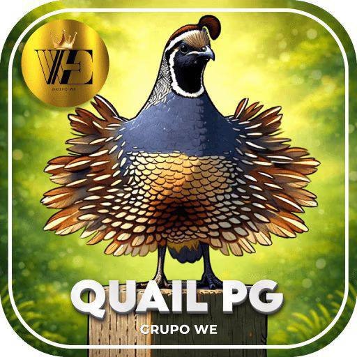 ✨ Wequail Pg