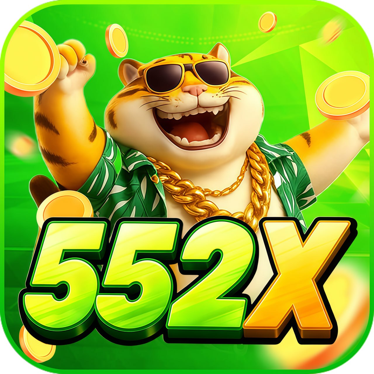 ✨ 552xxv