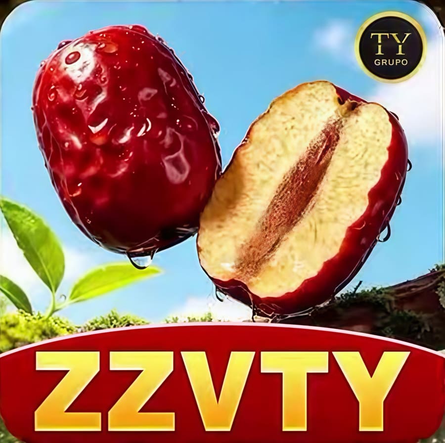 ✨ Zzvty1