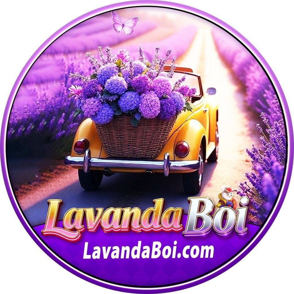LAVANDA BOI - COOPERAR
